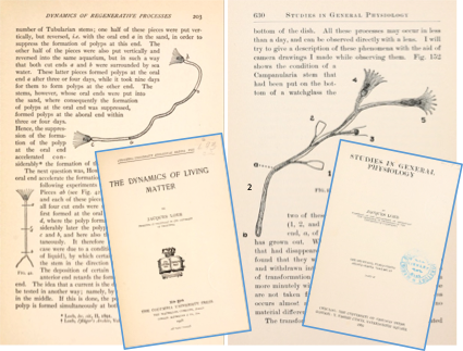 Loeb's fundamental books