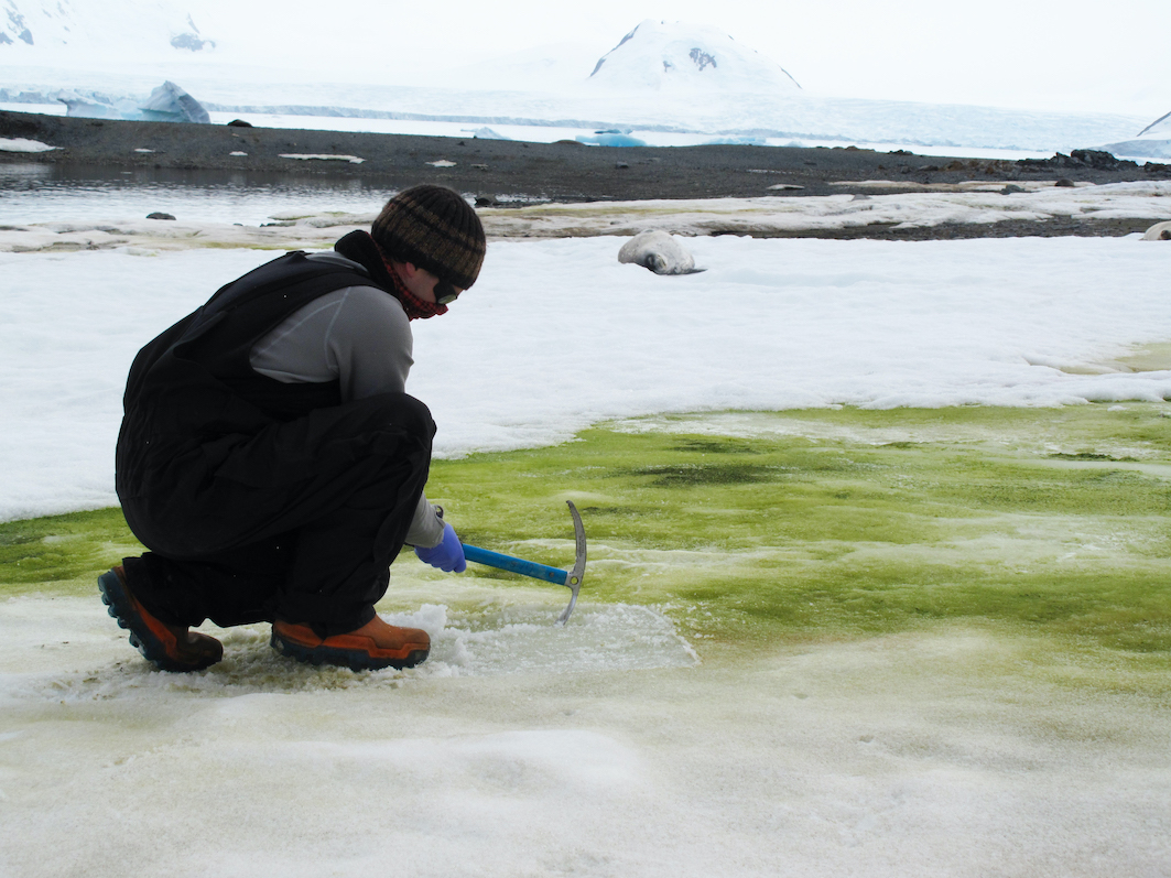 Dr Matt Davey sampling snow algae