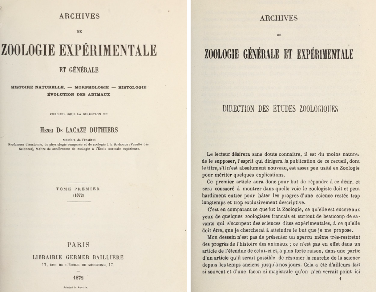 Image of Zoologie experimentale
