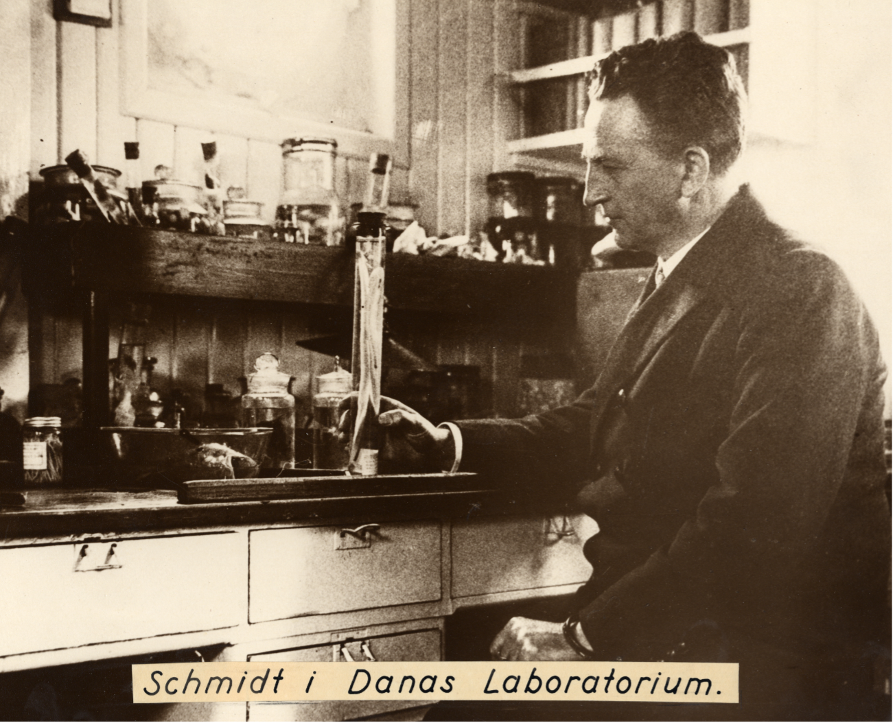 Schmidt working in a laboratory