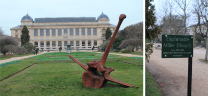 National history museum in Paris