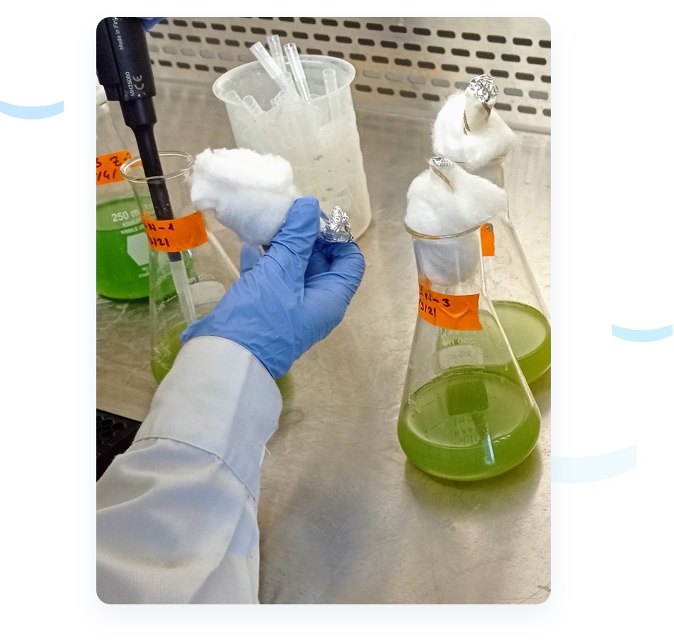 Picture of scientist with algae vials