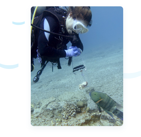 Image of female diver and fish