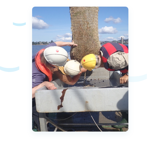 People working on a boat