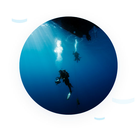 Photo of a diver