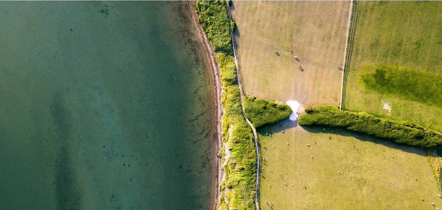 Navigating Agriculture’s Water Challenges: Insights from EMBRC’s Davide Di Cioccio, interviewed by AgroServ