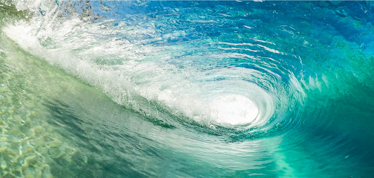 World Ocean Day, the hidden value in the ocean