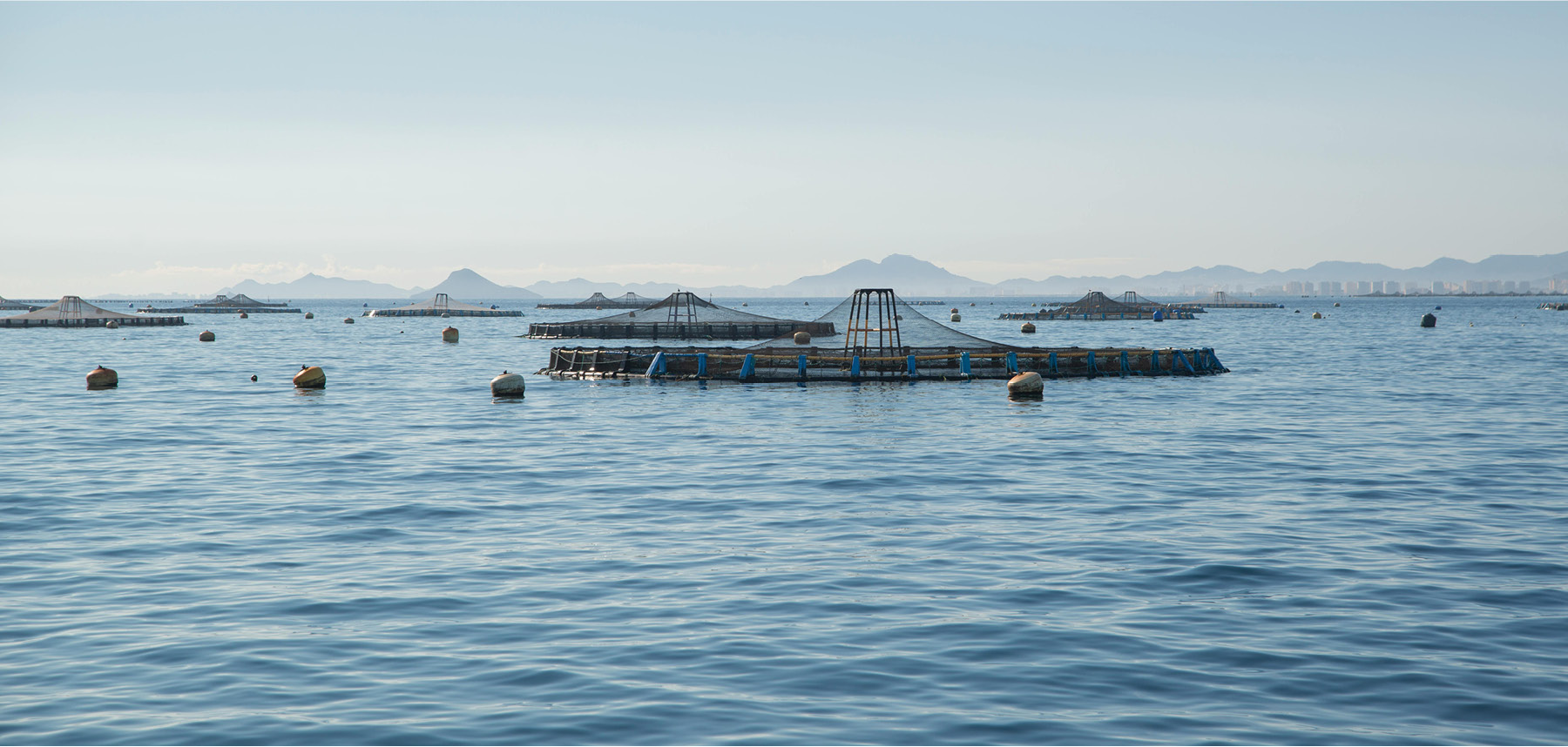 Spotlight on mesocosms at Toralla Marine Sciences Station, Vigo University (ECIMAT-UVigo)