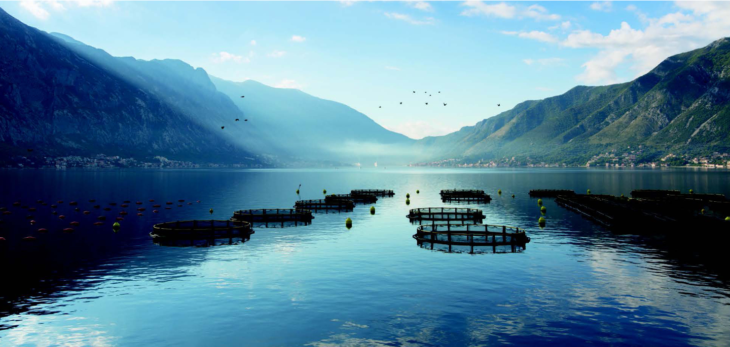 The impact of seasonality on marine species richness