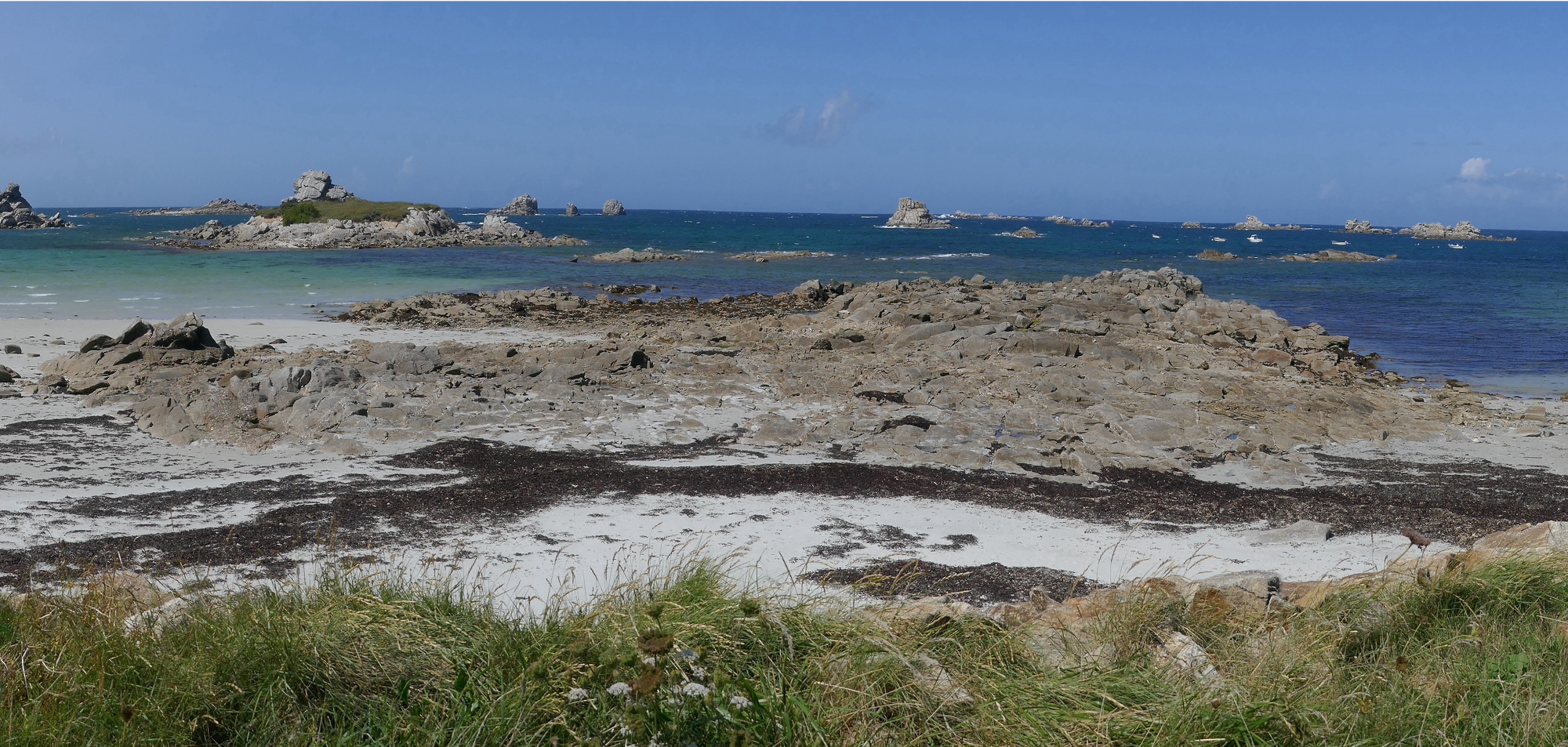 The TREC scientific expedition’s first step in Roscoff