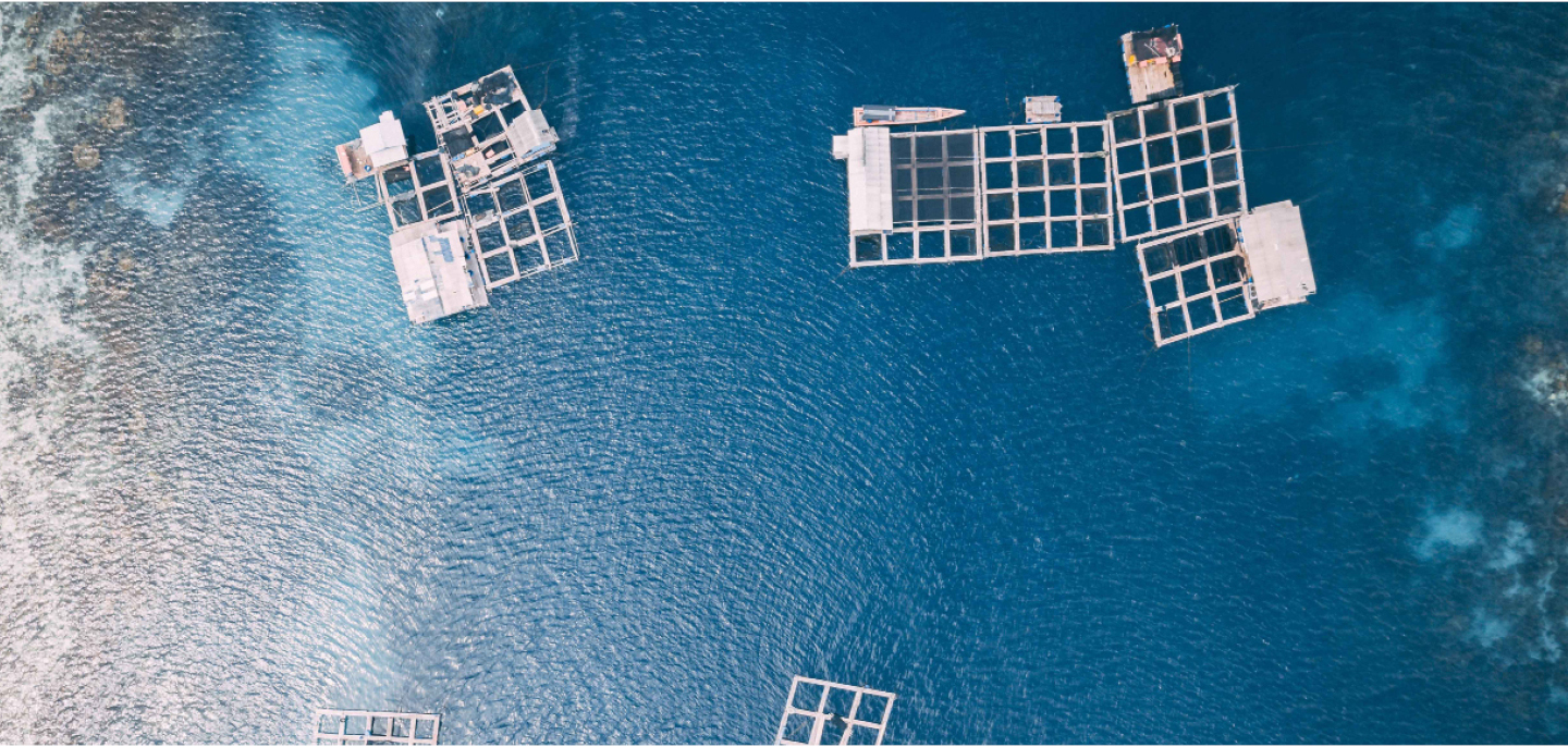 EMBRC and SDG 9: boosting innovation for a sustainable future