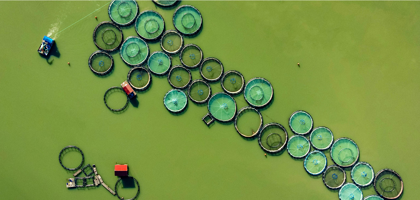 EMBRC continues to promote innovation in aquaculture by joining the European Aquaculture Technology & Innovation Platform (EATIP)