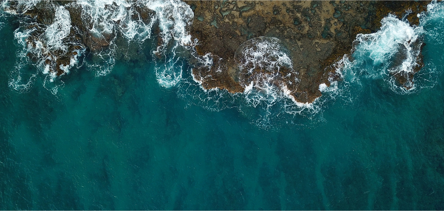 EMBRC welcomes the first Oceans 20 Communiqué