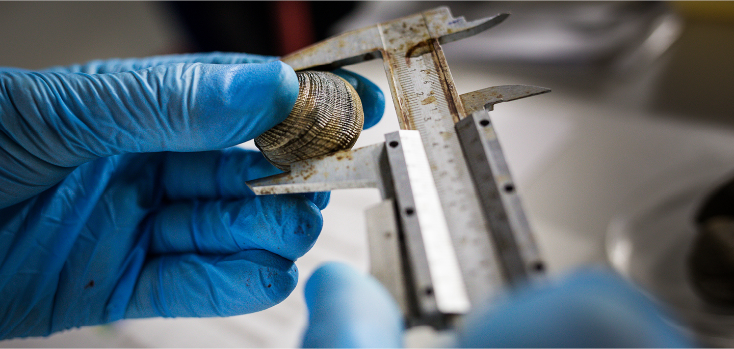 New EMBRC services for AQUAEXCEL3.0: aquaculture researchers encouraged to apply for funding