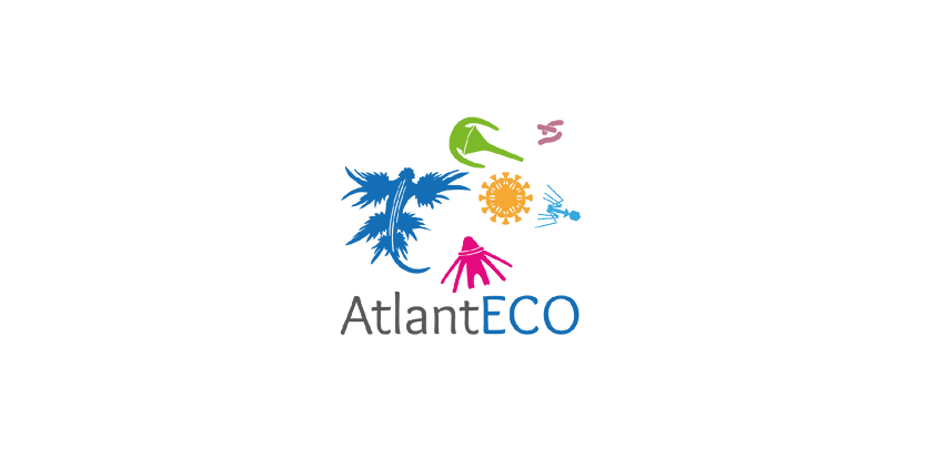 AtlantECO