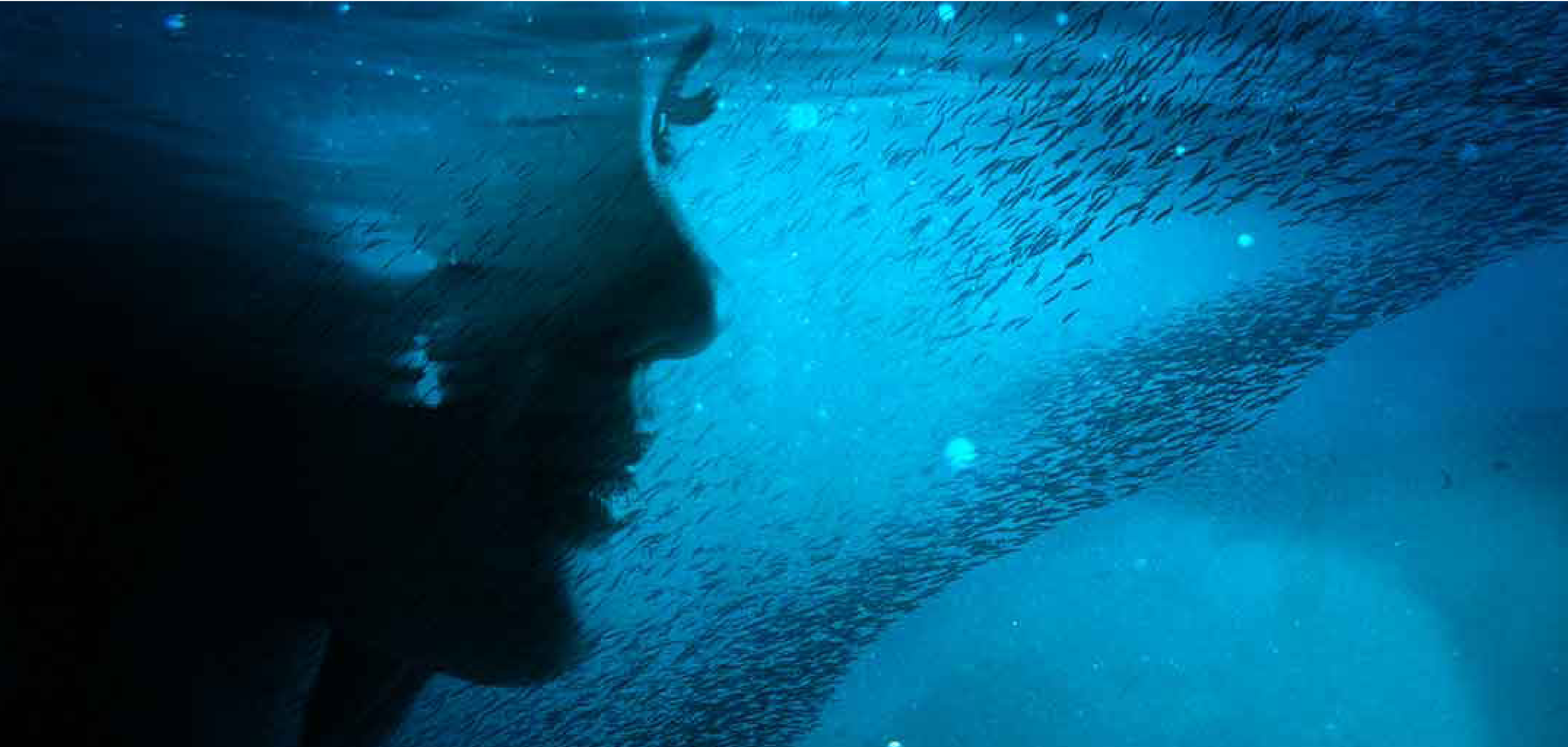 Women making waves in science