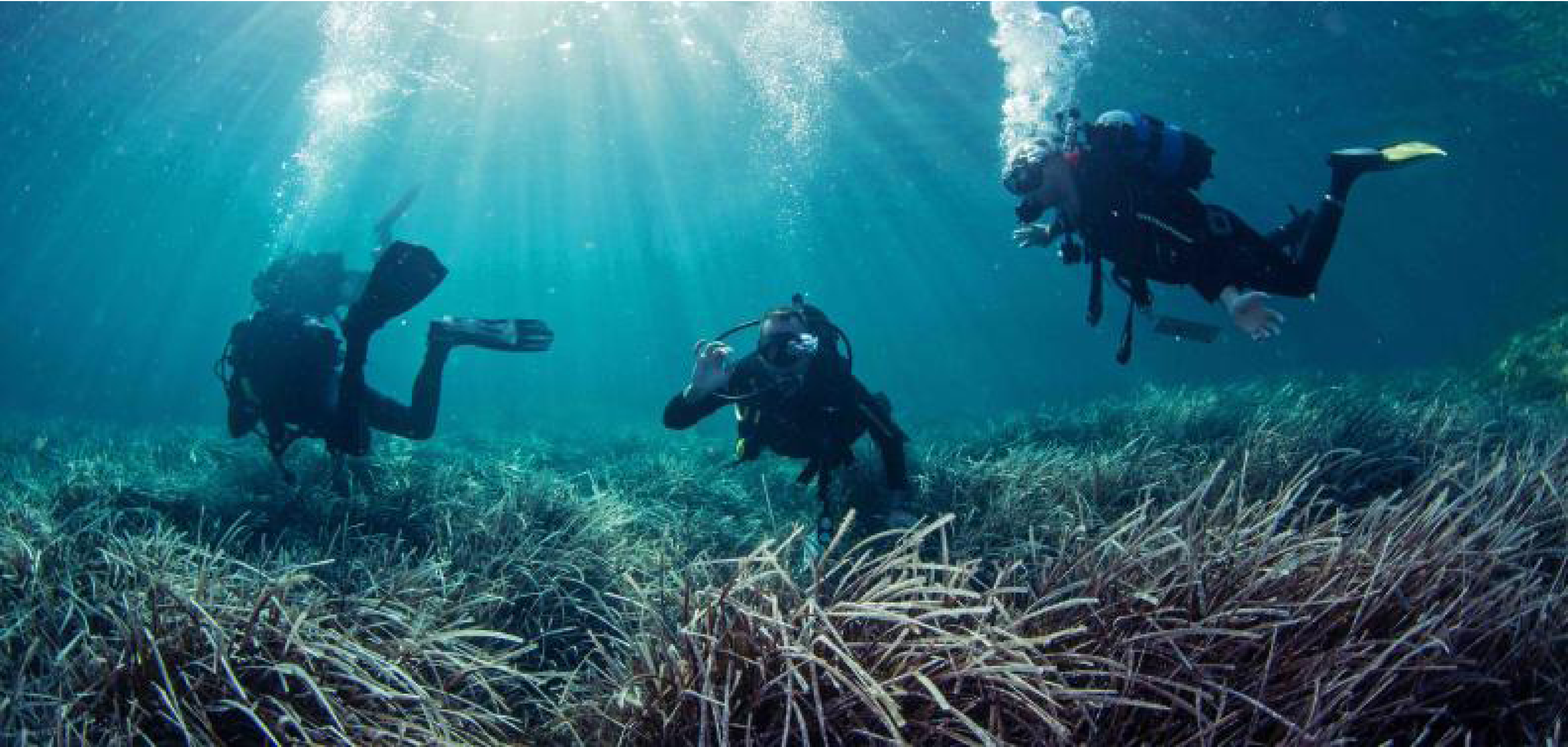eDNA Aqua Plan: the eDNA revolution for biodiversity