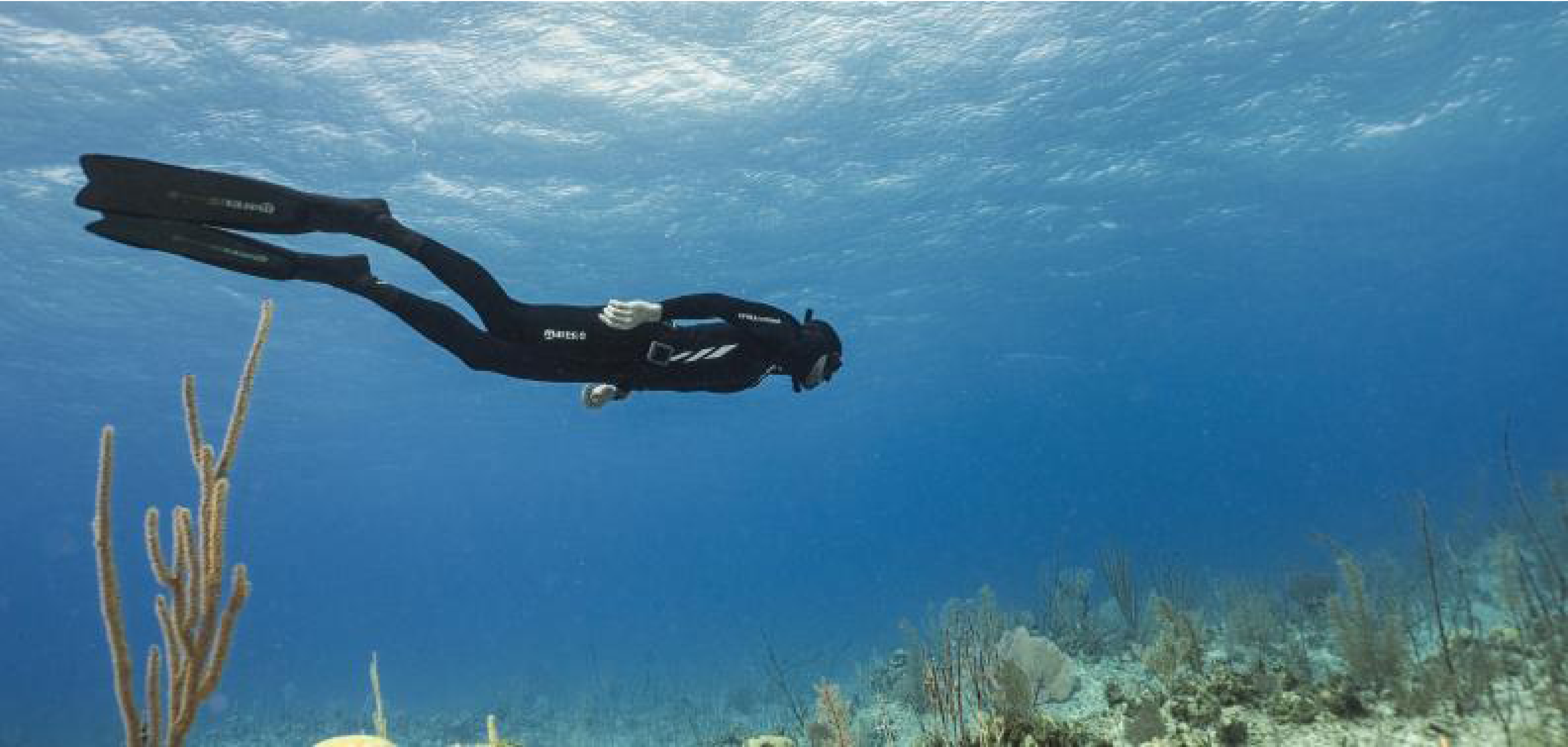 New funding: the next generation of marine research services being developed for EMBRC’s catalogue will foster innovation