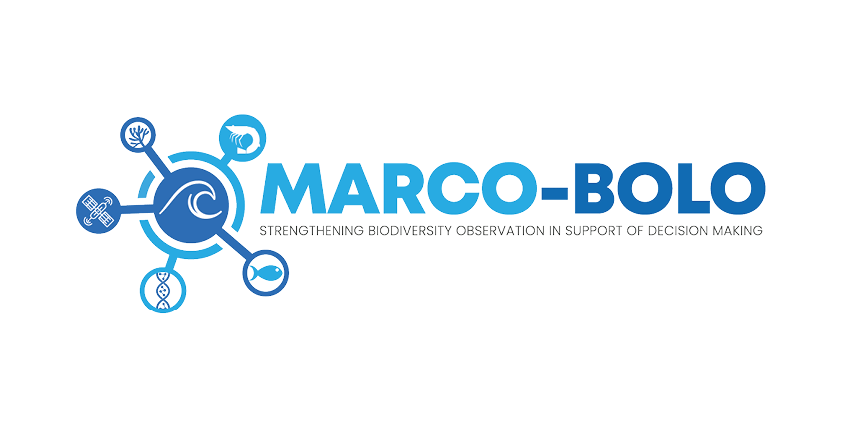 MARCO-BOLO