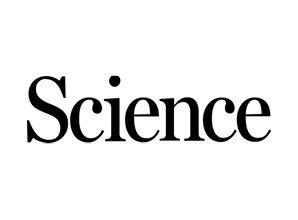 Conserved meiotic mechanisms in the cnidarian Clytia hemisphaerica revealed by Spo11 knockout