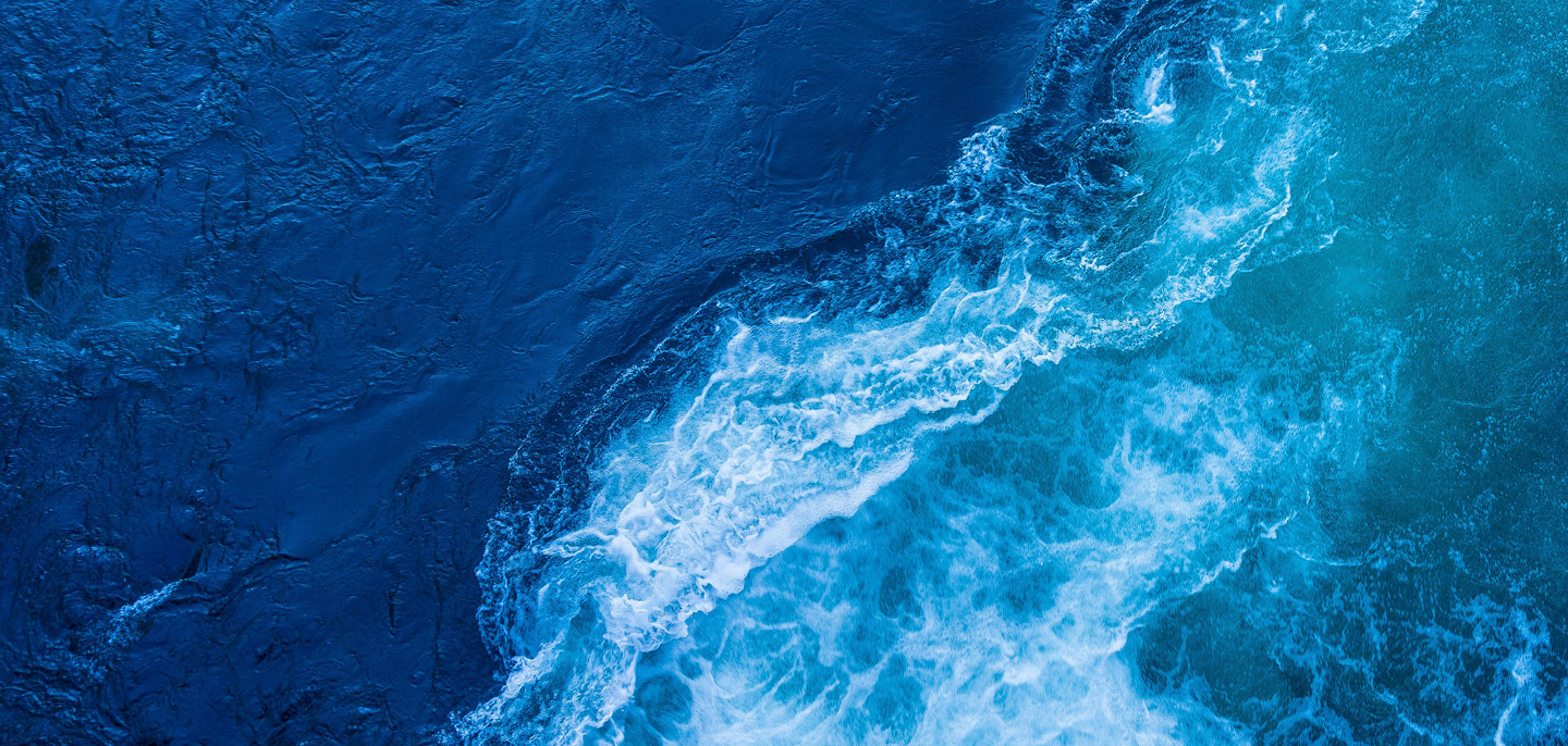 EMBRC is attending the One Ocean Conference & UNOC in Nice