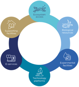 Advancing Marine Biology and Ecology Research