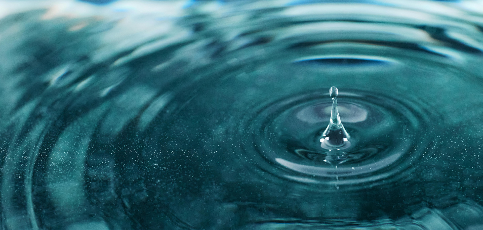 From lab to market: transforming marine monitoring with biosensors