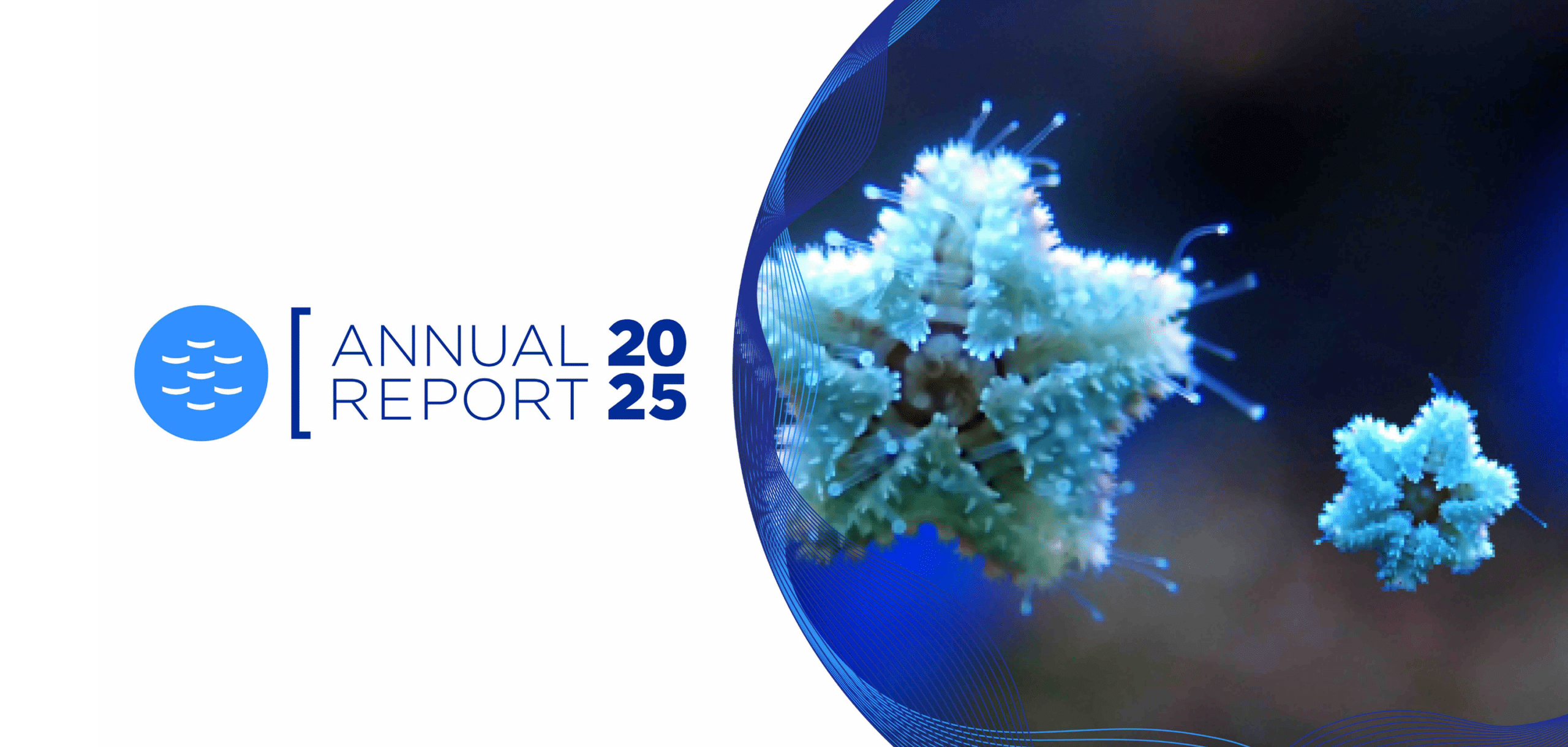EMBRC Annual Report 2025