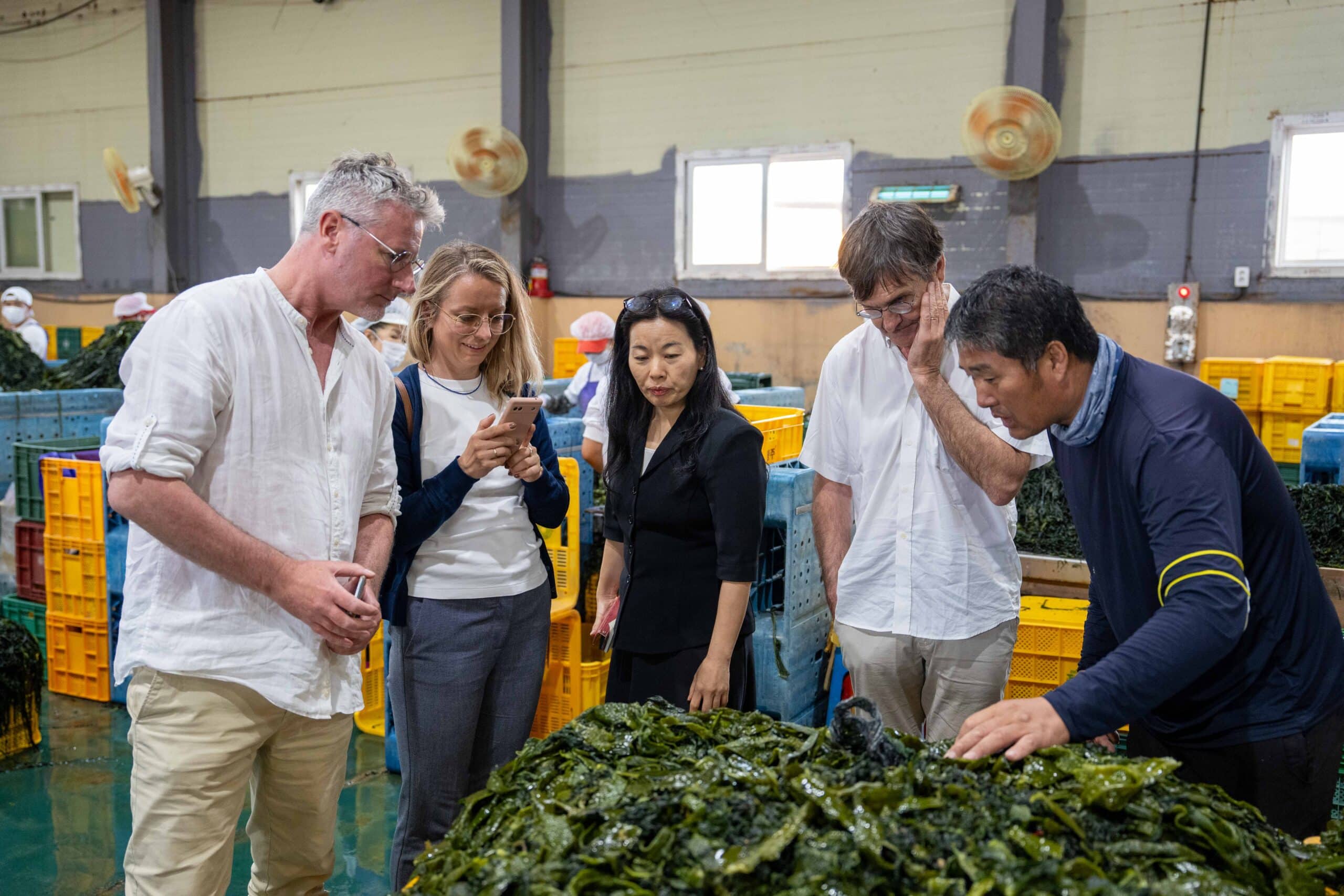 From Europe to Asia: how researchers are boosting the Blue Economy through seaweed science