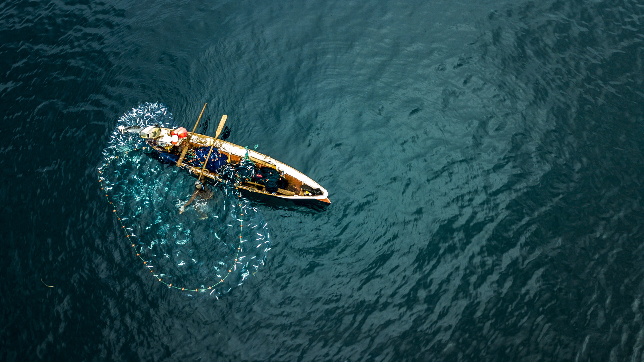 Behind-the-scenes of the Third World Ocean Assessment: EMBRC’s perspective on global ocean biodiversity